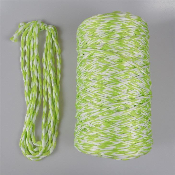 Customized Green-White 4 Ply Polyester Microfiber Yarn Mop