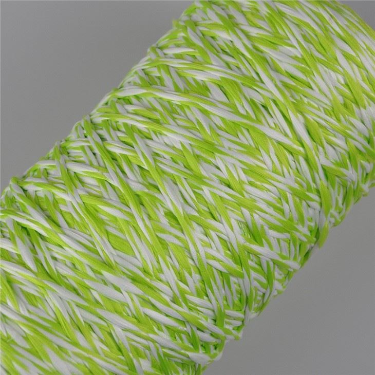 Customized Green-White 4 Ply Polyester Microfiber Yarn Mop